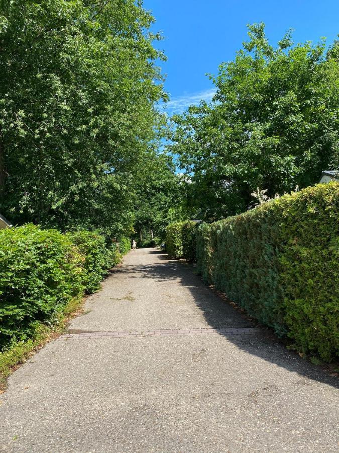 Vakantiehuis Veluwe Wageningen Esterno foto